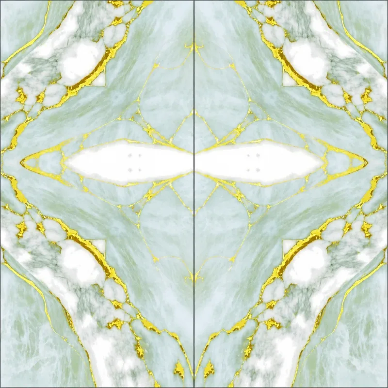 1010 — view 2